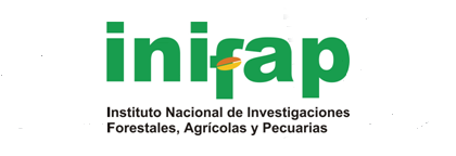 Logo 11